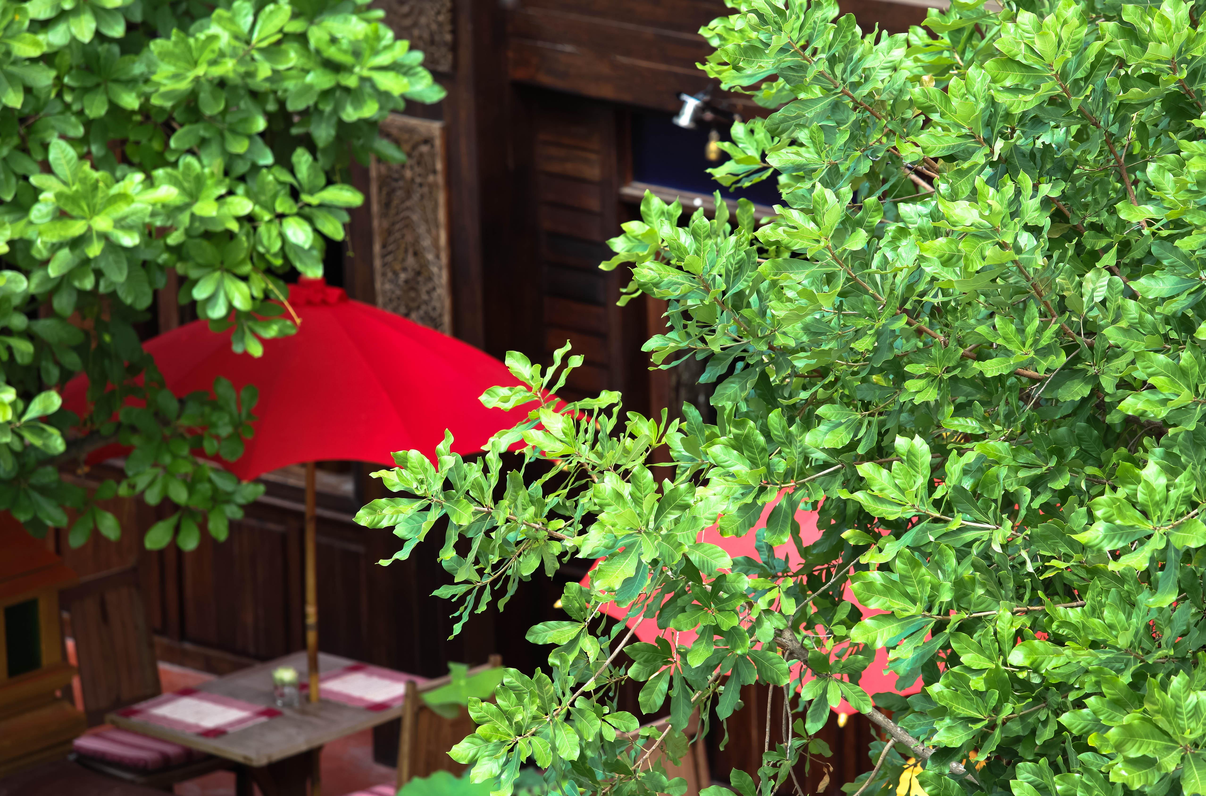 Singha Montra Lanna Boutique Style Hotel Chiang Mai Dış mekan fotoğraf