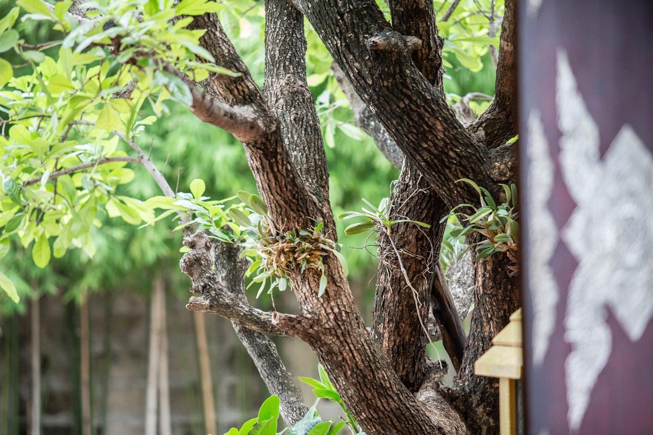 Singha Montra Lanna Boutique Style Hotel Chiang Mai Dış mekan fotoğraf